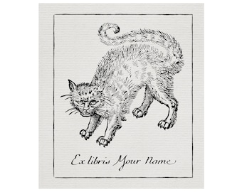 Custom Cat Ex-Libris - 1600's & 1700's graveerstijl - barok - 17e 18e eeuw - exlibris - exlibris - gebogen rug
