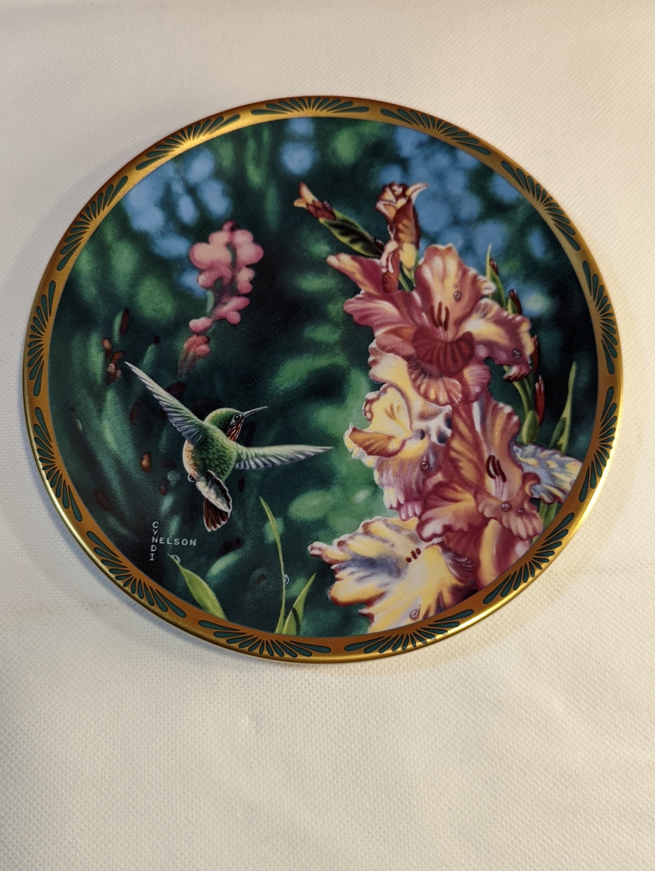 Hummingbirds'hill shop × Talonte 馬革 L 美品 Cyndi Nelson Gems of Nature: the Beauty of Hummingbirds