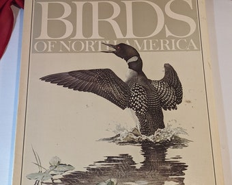 Birds Of North America Glen Loates 1979 Hard Cover Book With Dust Jacket Illustrated Reference and Artist Biography ISBN 0-920016-11-1
