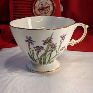 Bermudian Iris Oakley China Ltd. Tea Cup collectible tea or coffee cup Floral Motif Cup Only