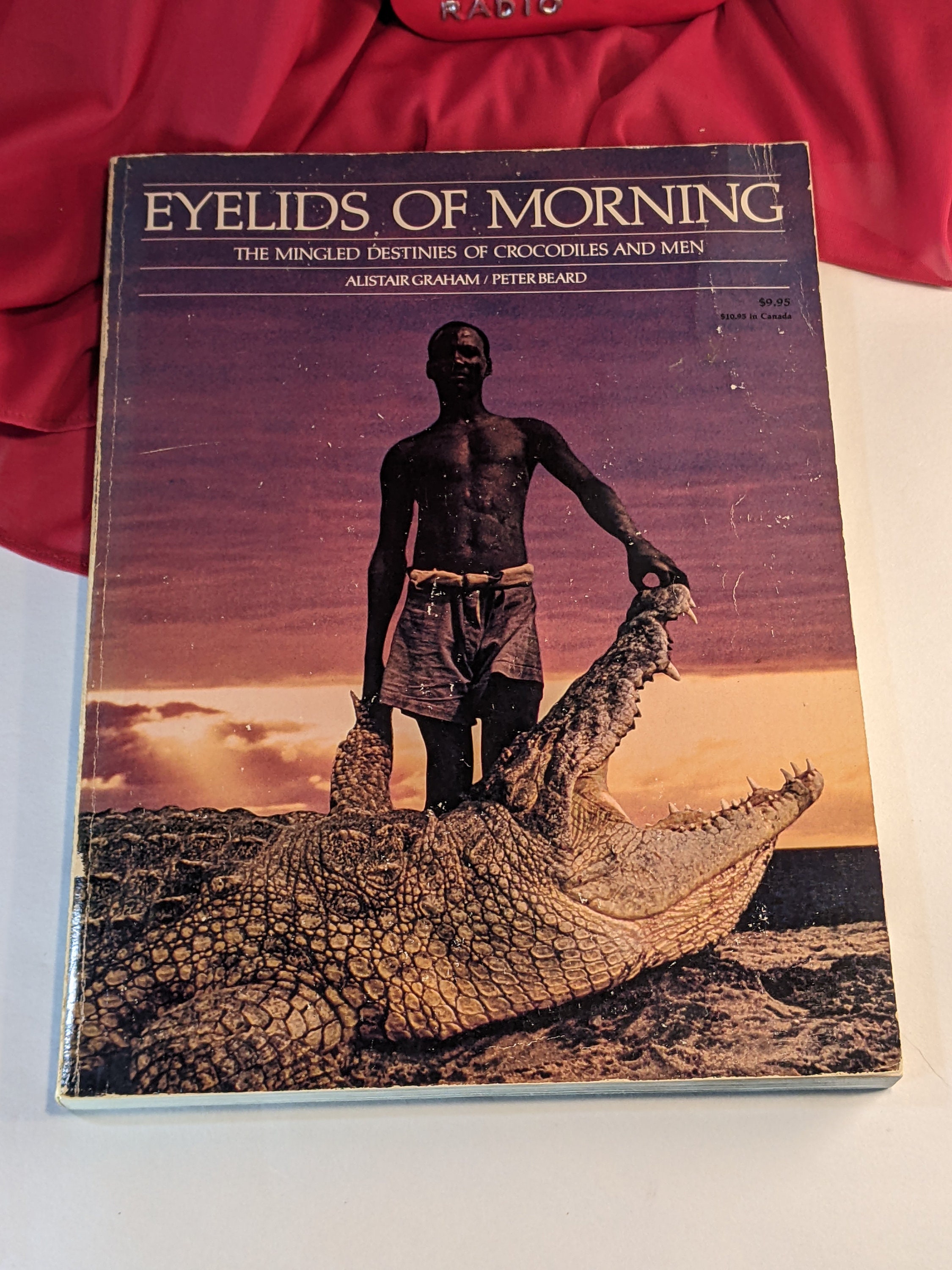 EYELIDS OF MORNING by Peter Beard | VISUALWORKS.CO.JP