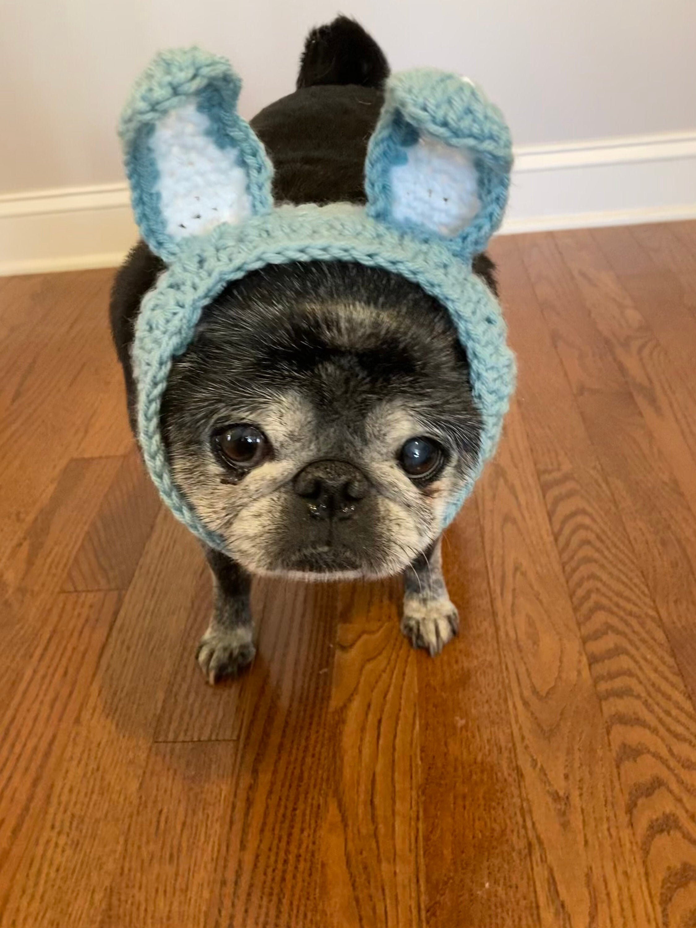stuffed dog with bunny ears