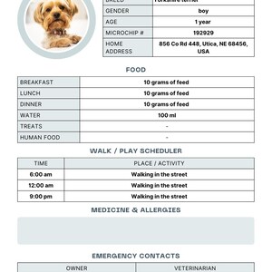 May include: Pet sitter notes document with a photo of a Yorkshire terrier named Binni. The document includes feeding instructions, a walk schedule, and emergency contact information. The dog eats 10 grams of feed for breakfast, lunch, and dinner.