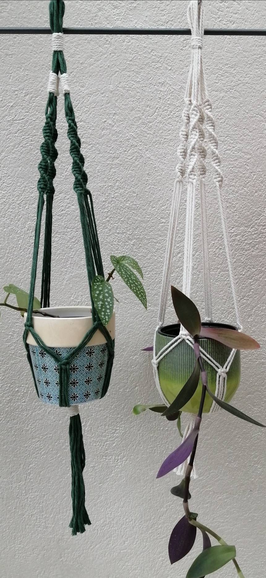 Suspension Pour Plante en Macramé Beige - Le | SusPendu -