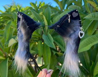 Gray and black cat eats / gray heart furry ears