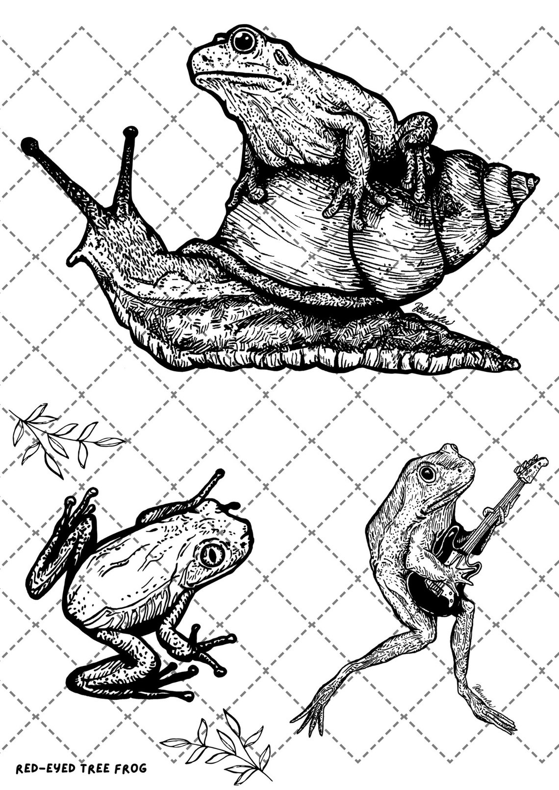 Frogs and Flowers Coloring Book 10 Pages Sheets Printable Etsy