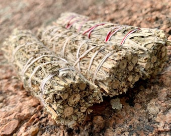 Può includere: Tre mazzi di bastoncini di salvia secca legati con spago e filo rosso. La salvia è di colore marrone chiaro e i bastoncini sono raggruppati.