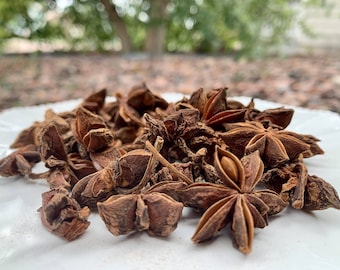 Star Anise | PSYCHIC VISIONS