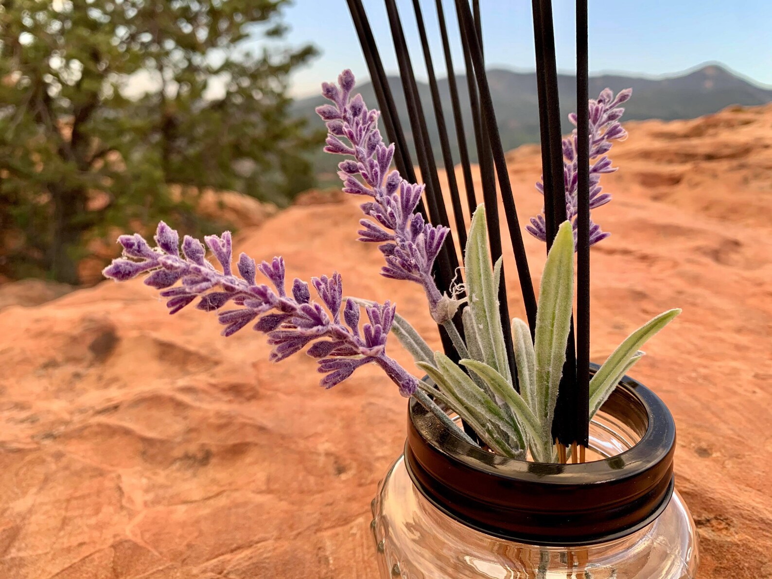 Lavender Incense 10 PACK Etsy