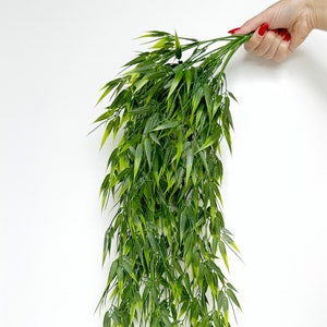 Hanging Bamboo Bush 32.5&quot; - High Quality Artificial Hanging Plant - Faux Bamboo Trailing Plant