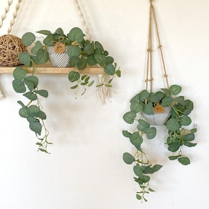 May include: Two hanging planters with green plants. The planter on the left is on a wooden shelf with a macrame hanger. The planter on the right is hanging from a macrame hanger.