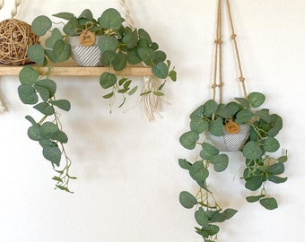 Silk Eucalyptus Hanging Plant in Textured Concrete Pot with Jute Twine or as Floating Shelf Decor Plant -  Farmhouse, Boho Decor Plant, Faux