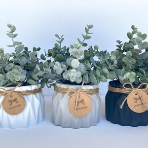 Artificial Eucalyptus Plant in Handmade Concrete Pot - white, black or gray planter - Faux Eucalyptus - Rustic, Farmhouse Decor, Fake Plant