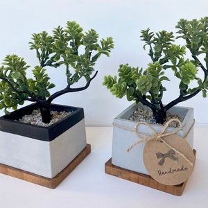 Artificial Bonsai Plant in a Handmade Concrete Pot with Wood Tray - High Quality Fake Plant in Pot - Floating Shelf Decor Faux Plant