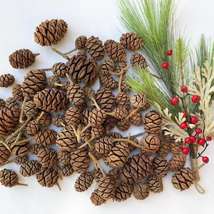 May include: A large pile of brown pine cones, some with small stems, against a white background. A sprig of green pine with red berries is on the right side of the image.