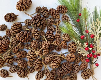 May include: A large pile of brown pine cones, some with small stems, against a white background. A sprig of green pine with red berries is on the right side of the image.