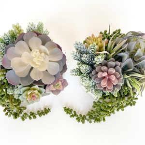 May include: Two small succulent arrangements in white pots. The arrangement on the left features a large, light purple and green succulent with smaller succulents around it. The arrangement on the right features a variety of succulents in shades of green, pink, and purple.