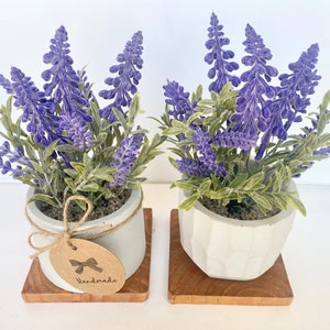 Artificial Lavender Plant in Handmade Concrete Pot with Wood Tray - Artificial Flowers - Faux Lavender - Floating Shelve Decor