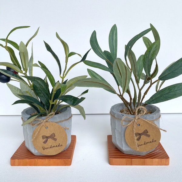 Artificial Mini Olive Tree in Handmade Concrete Pot with Wood Coaster - Small Faux Olive Tree