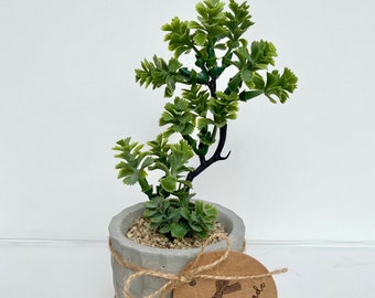 Artificial Bonsai Plant in a Handmade Textured Concrete Pot with Wood Tray - Floating Shelf Decor Faux Plant - Fake Bonsai Tree