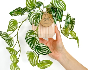 Faux Watermelon Peperomia Hanging Plant in Handmade Wood Pot