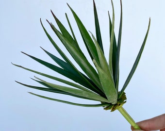 Künstlicher Aloe-Pick-Sukkulente - Hochwertige Sukkulenten - Kunstpflanze