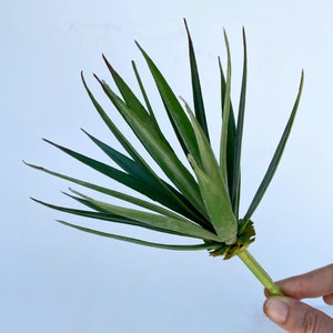 Artificial Aloe Pick Succulent -  High Quality Succulents - Faux Plant