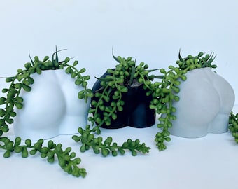 Handmade Cement Butt Pot with Faux Burro's Tail Succulent Plant - available in Gray, White or Black - Boho, Rustic, Farmhouse Decor