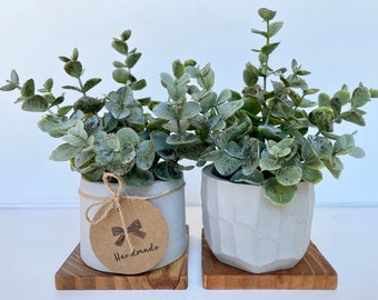 Artificial Eucalyptus Plant in handmade Concrete Pot with Wood Tray - Floating Shelve, Farmhouse, Rustic, Boho Decor