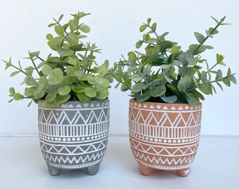 Artificial Eucalyptus Plant in textured Ceramic Pot - Faux Eucalyptus- Floating Shelve, Boho - Bohemian, Farmhouse Decor