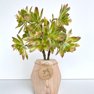 Peut inclure: Un pot en bois avec une finition brun clair et un motif de grain de bois naturel. Le pot est rempli d'une plante succulente verte avec des pointes rouges. Une petite étiquette brune avec le mot "Handmade" est attachée au pot.