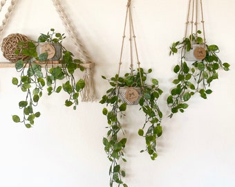 Hanging Faux Lunaria Plant in Handmade Concrete Pot - with Jute Twine or as Floating Shelve Decor - Farmhouse, Boho Decor