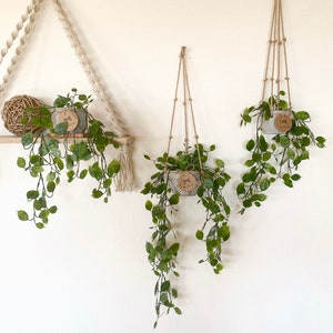 Hanging Faux Lunaria Plant in Handmade Concrete Pot - with Jute Twine or as Floating Shelve Decor - Farmhouse, Boho Decor