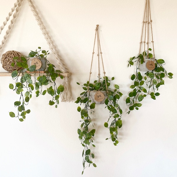 Planta colgante de Lunaria falsa en maceta de hormigón hecha a mano - con cordel de yute o como decoración de estante flotante - Granja, decoración boho