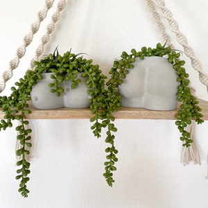 Cement Butt or Boob Pot with Faux Burro&#39;s Tail Succulent Hanging Plant - Booty Pot - Boobies Planter - Boho