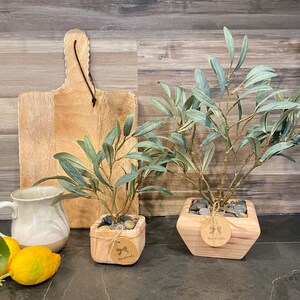 May include: Two potted olive trees with green leaves in wooden planters. The planters have a natural wood finish and are square shaped. The planters have a small tag that says "Handmade".