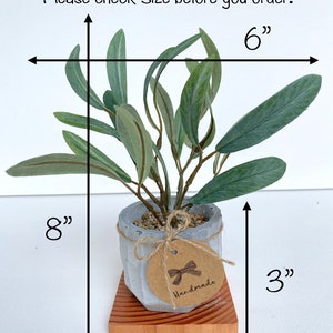 May include: A small artificial plant with green leaves in a grey concrete pot, sitting on a wooden base. The plant is 6 inches wide and 8 inches tall. The pot is 3 inches tall. The base is 3.5 inches wide. The tag on the pot says "Handmade".