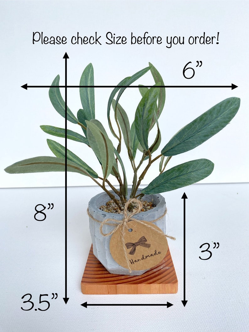 May include: A small artificial plant with green leaves in a grey concrete pot, sitting on a wooden base. The plant is 6 inches wide and 8 inches tall. The pot is 3 inches tall. The base is 3.5 inches wide. The tag on the pot says "Handmade".