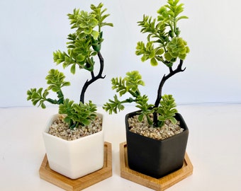 Small Artificial Bonsai Plant in white or black Hexagon Pot with Bamboo Tray, Floating Shelve Decor, Kitchen Counter Deco, RV Decoration