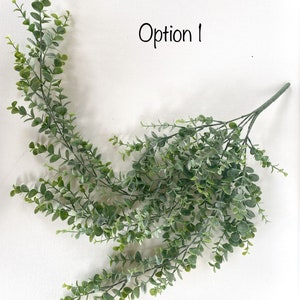 May include: A bunch of green eucalyptus stems with small leaves. Option 1 is written in black text on a white background.