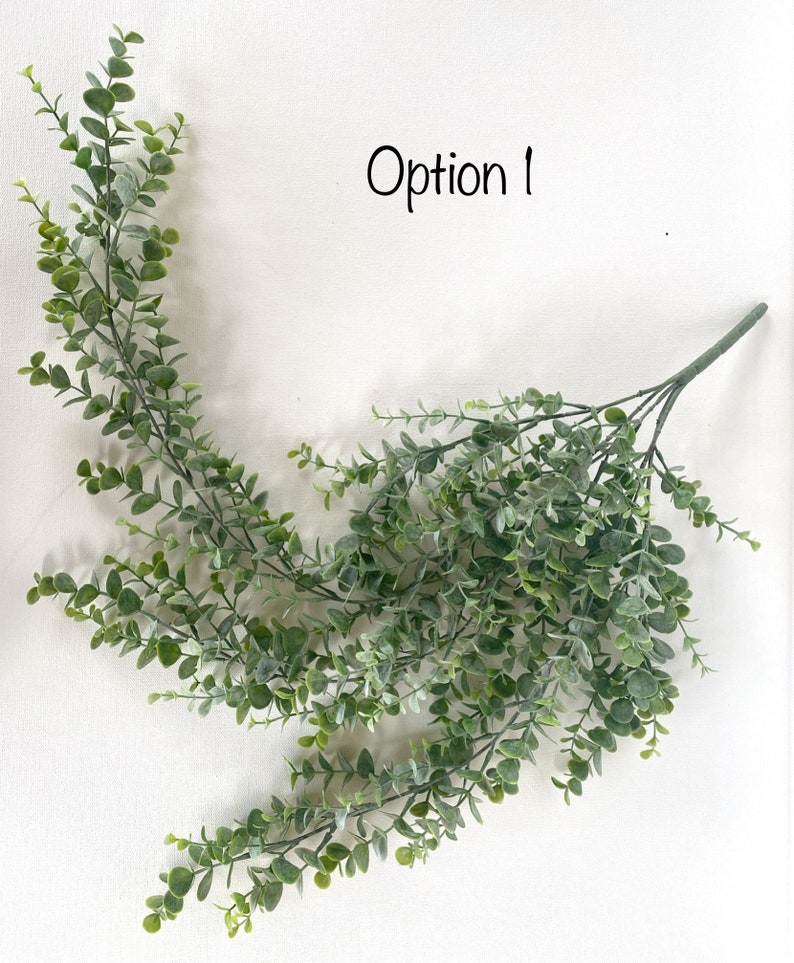 May include: A bunch of green eucalyptus stems with small leaves. Option 1 is written in black text on a white background.
