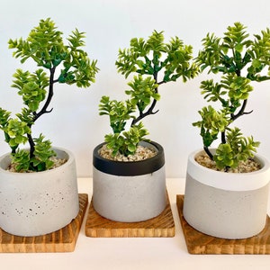 Artificial Bonsai Plant in a Handmade Concrete Pot with Wood Tray - Floating Shelf Decor, Kitchen Counter Deco, RV Decoration Fake Plant image 9