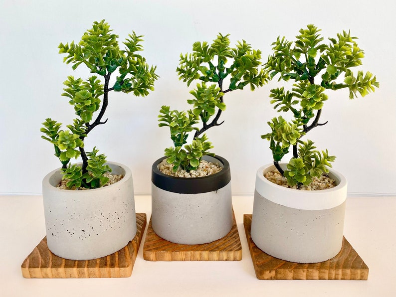 Artificial Bonsai Plant in a Handmade Concrete Pot with Wood Tray - Floating Shelf Decor, Kitchen Counter Deco, RV Decoration Fake Plant image 9