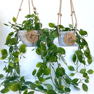 Puede incluir: Dos macetas colgantes de hormig&oacute;n gris con un colgador de cuerda. Las macetas est&aacute;n llenas de plantas verdes de hoja. Las macetas tienen etiquetas de papel marr&oacute;n con la palabra "Handmade" escrita en ellas.