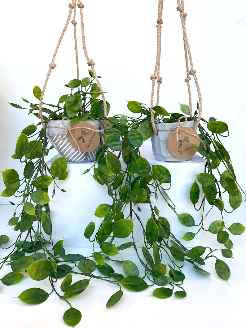 Puede incluir: Dos macetas colgantes de hormig&oacute;n gris con un colgador de cuerda. Las macetas est&aacute;n llenas de plantas verdes de hoja. Las macetas tienen etiquetas de papel marr&oacute;n con la palabra "Handmade" escrita en ellas.