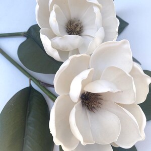May include: Two large, creamy white magnolia flowers with dark brown centers and multiple petals are displayed. Dark green leaves and stems are visible, creating a natural contrast. The flowers are arranged against a white background.