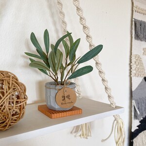 May include: A white shelf with a small potted plant, a woven ball, and a macrame hanging. The plant is in a grey concrete pot with a brown tag that says "Handmade".