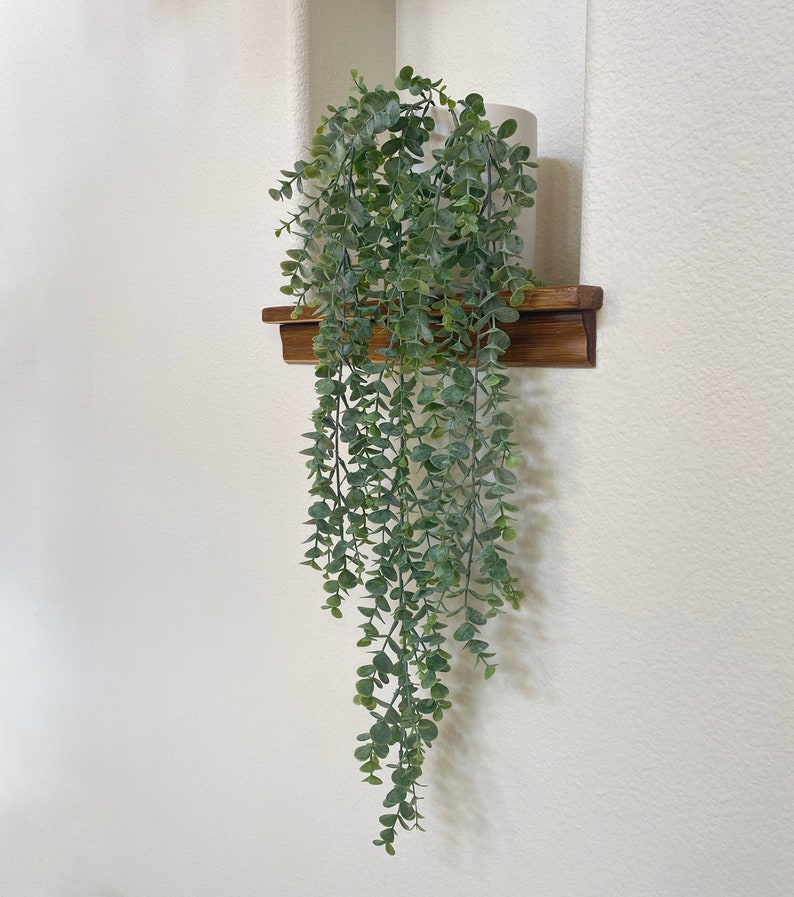 May include: A green leafy plant in a white pot sits on a wooden shelf against a white wall.