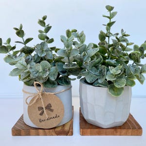 Artificial Eucalyptus Plant in handmade Concrete Pot with Wood Tray - Floating Shelf Faux Plant, Farmhouse, Rustic, Boho Decor Fake Plant