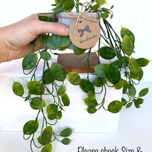 Puede incluir: Una peque&ntilde;a planta en maceta con enredaderas colgantes, la maceta es de hormig&oacute;n y tiene una etiqueta de papel marr&oacute;n con un lazo y la palabra "Handmade". La planta est&aacute; sobre un soporte de madera.